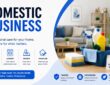 Domestic Business